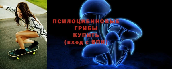 ГАЛЛЮЦИНОГЕННЫЕ ГРИБЫ Медвежьегорск