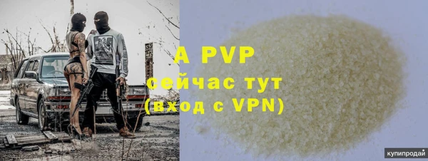 ГАЛЛЮЦИНОГЕННЫЕ ГРИБЫ Медвежьегорск