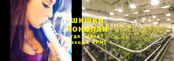 ГАЛЛЮЦИНОГЕННЫЕ ГРИБЫ Медвежьегорск